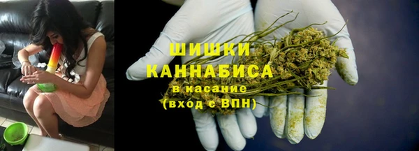 амф Арсеньев