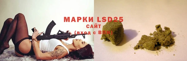 сатива Армянск