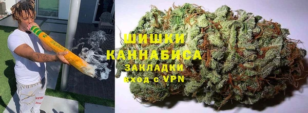 сатива Армянск