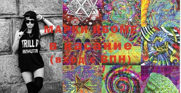 сатива Армянск
