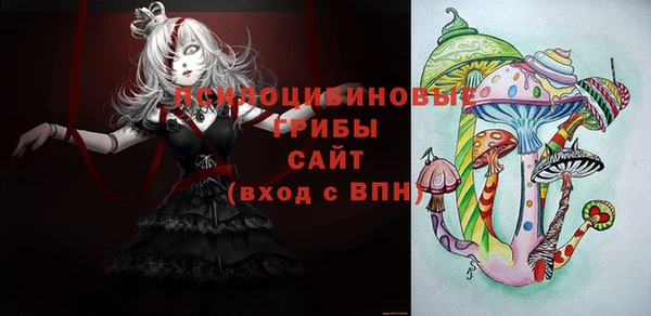 мяу мяу мука Аркадак