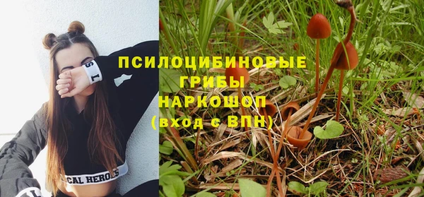 мяу мяу мука Аркадак