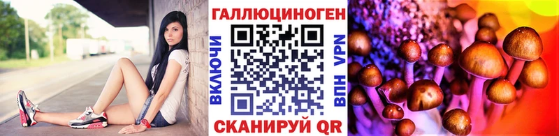 наркотики mega ССЫЛКА Галлюциногенные грибы Cubensis Буинск